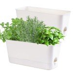 Self-Watering Herb Planter Kit for Home