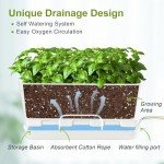Self-Watering Herb Planter Kit for Home