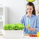 Self-Watering Herb Planter Kit for Home