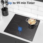 Hobsir 60cm 4-Zone Induction Electric Hob