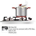 Noxton 2-Burner Built-in Gas Hob, Stainless Steel
