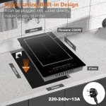 Jessier 2 Ring Portable Induction Hob 30cm