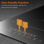 Jessier 2 Ring Portable Induction Hob 30cm
