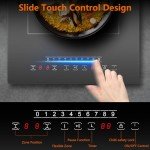 Jessier 2 Ring Portable Induction Hob 30cm