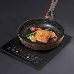 Panana 2000W Induction Countertop Cooker with Timer
