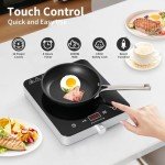Cooktron Dual-Control Portable Induction Hob 2000W