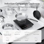 2000W Single Induction Cooktop with Timer, Black