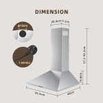 FIREGAS 60cm Stainless Steel Chimney Cooker Hood