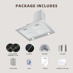 FIREGAS 60cm Stainless Steel Chimney Cooker Hood