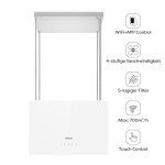CIARRA 48cm Island Cooker Hood with WiFi Control