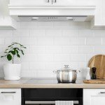 Ciarra 52cm Stainless Steel Integrated Extractor Hood