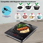 AMZCHEF Ultra-Thin Single Induction Cooker, 10 Levels