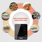 Duxtop 2100W Induction Cooker with Touch Controls