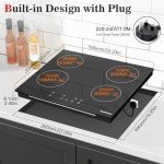 Karinear 60cm 4-Zone Induction Hob with Touch Control