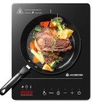 Aobosi Portable Single Induction Cooker, 2000W