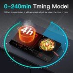 Aobosi Portable Double Induction Cooker with Timer
