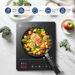 Aobosi Portable Single Induction Cooker, 2000W
