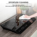 Abode Portable Double Induction Hob with Timer