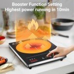 Aobosi Portable Single Induction Cooker, 2000W