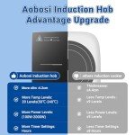 Aobosi Portable Single Induction Cooker, 2000W
