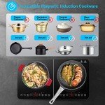 Aobosi Double Induction Hob with 20 Temp Settings