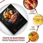Aobosi Portable Single Induction Cooker, 2000W