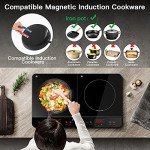 Aobosi Portable Double Induction Cooker with Timer