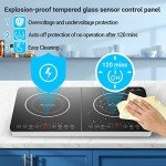 Aobosi Double Induction Hob with 20 Temp Settings