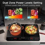 Aobosi Portable Double Induction Cooker with Timer