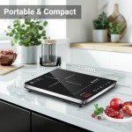 Aobosi Portable Single Induction Cooker, 2000W