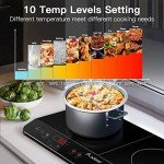 Aobosi Portable Double Induction Cooker with Timer