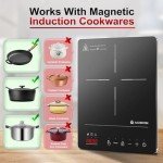 Aobosi Portable Single Induction Cooker, 2000W
