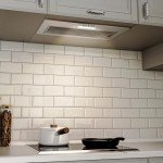 FIREGAS 52cm Built-in Cooker Hood with LED Light