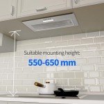FIREGAS 52cm Built-in Cooker Hood with LED Light