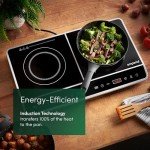 Emperial Twin Induction Hob - 2800W Double Plate
