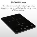 2000W Single Induction Cooker with Touch Control