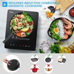 IsEasy 2100W Portable Induction Cooker with Timer