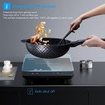 IsEasy 2100W Portable Induction Cooker with Timer