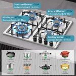 Noxton 4 Burner Built-in Gas Hob with Safety Features