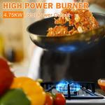 Hobsir 2-Burner Built-in Gas Cooktop 30cm