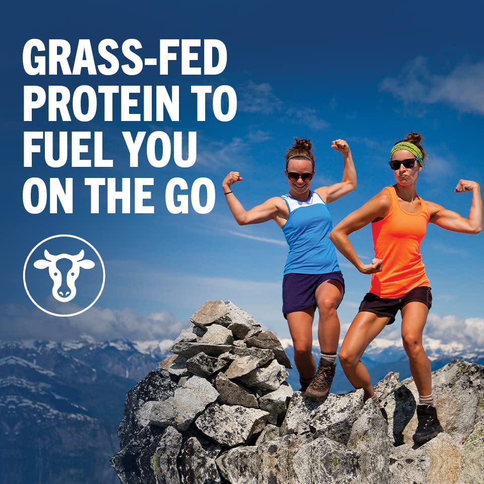 Orgain Organic Protein Shake - Chocolate Fudge Pack