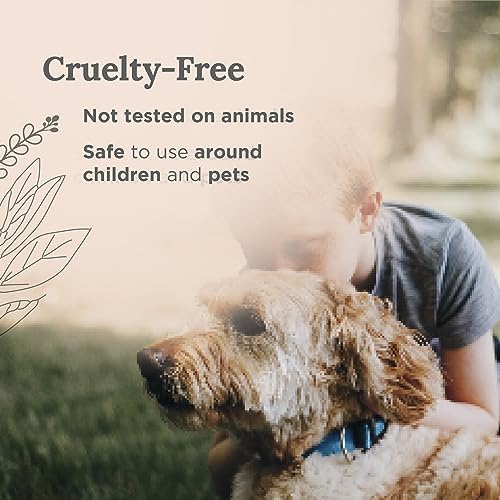 Tarot Energy Cleansing Sage Candle 6oz (Sage + Lavender)