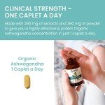 Himalaya Organic Ashwagandha - Stress Relief & Energy