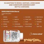Organic Mushroom Supplement with Lions Mane & Turkey Tail