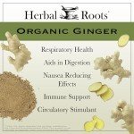 Organic Ginger Root Capsules - 1,200 mg, 60 Count