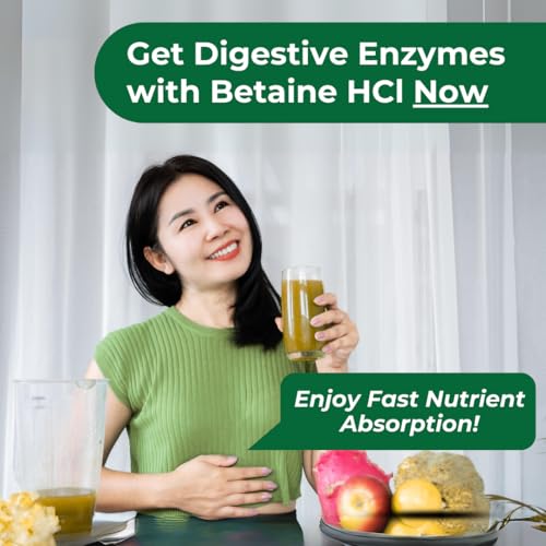 Herbal Digestive Enzymes with Ox Bile 100 Capsules