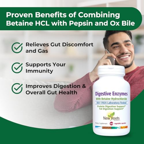 Herbal Digestive Enzymes with Ox Bile 100 Capsules