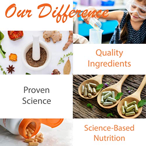 Herbal Digestive Enzymes - Non-GMO Vegetarian Formula