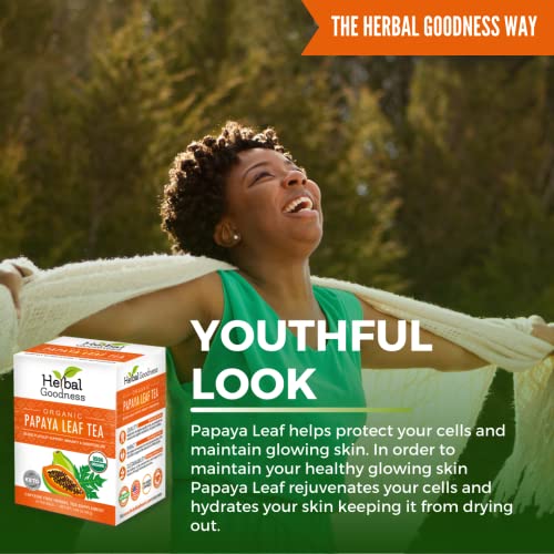 Organic Papaya Leaf Extract Tea for Immune Health