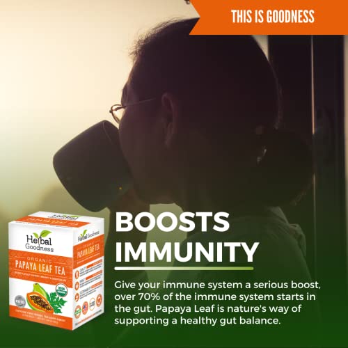 Organic Papaya Leaf Extract Tea for Immune Health